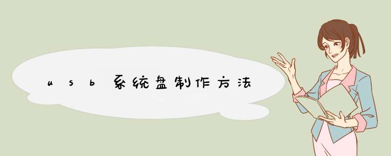 usb系统盘制作方法