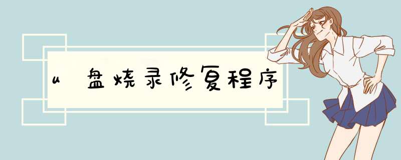 u盘烧录修复程序