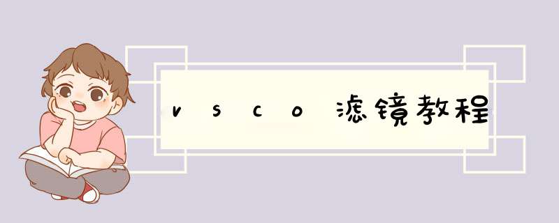 vsco滤镜教程
