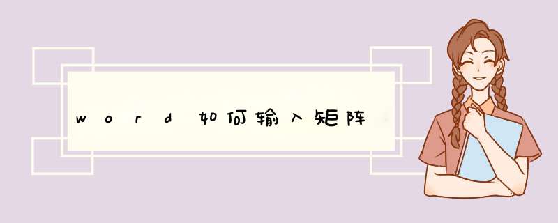 word如何输入矩阵