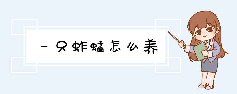 一只蚱蜢怎么养