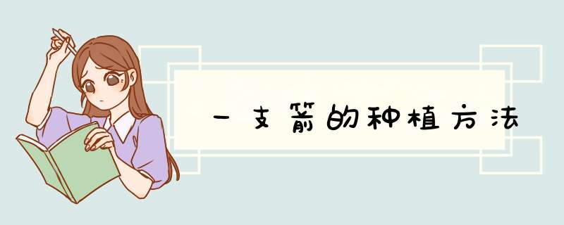 一支箭的种植方法