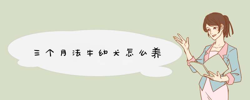 三个月法牛幼犬怎么养