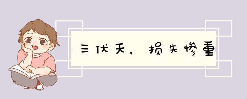 三伏天，损失惨重