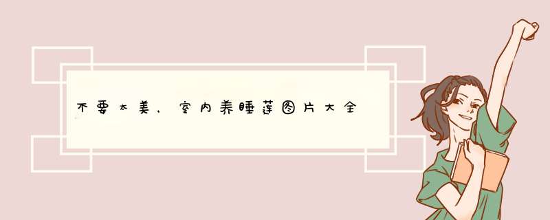 不要太美，室内养睡莲图片大全