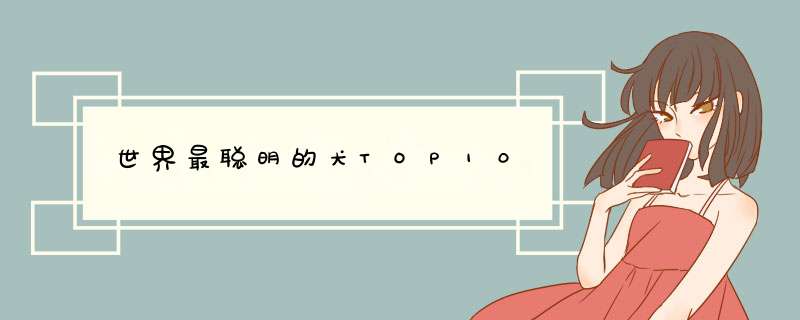 世界最聪明的犬TOP10