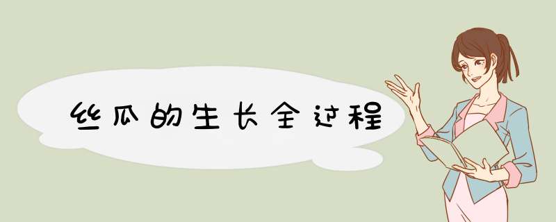 丝瓜的生长全过程