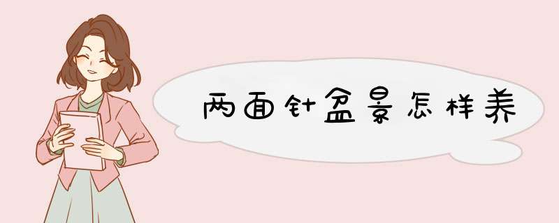 两面针盆景怎样养