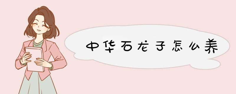 中华石龙子怎么养