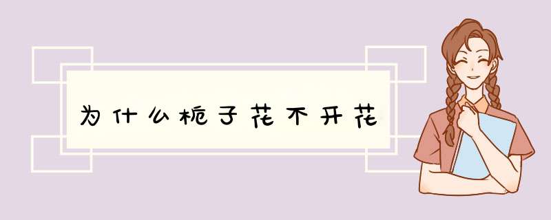 为什么栀子花不开花