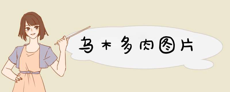 乌木多肉图片