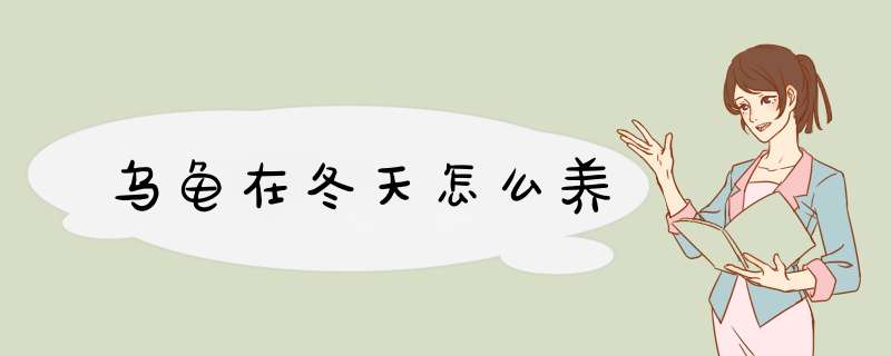 乌龟在冬天怎么养