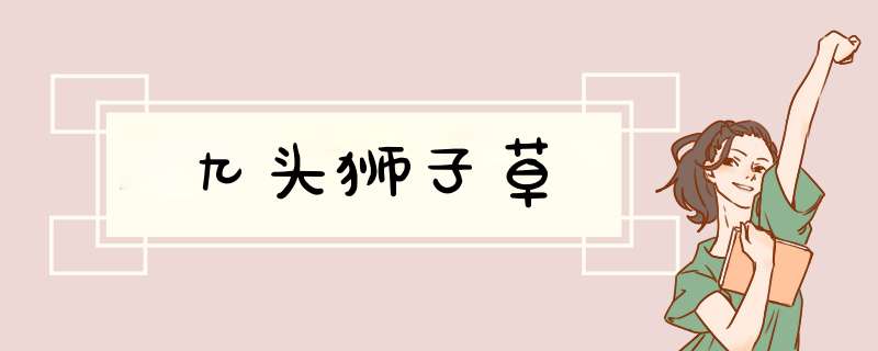 九头狮子草