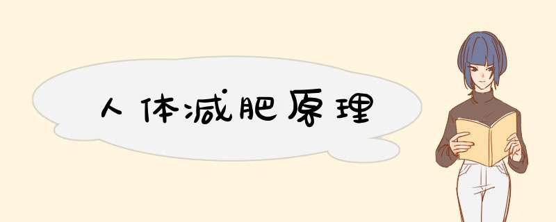 人体减肥原理