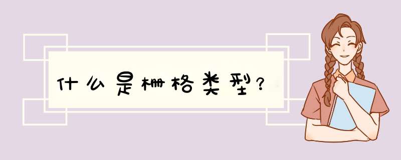 什么是栅格类型？