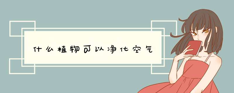 什么植物可以净化空气