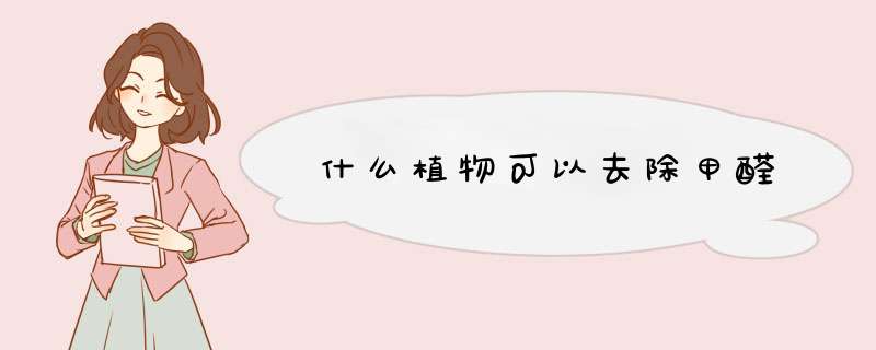 什么植物可以去除甲醛