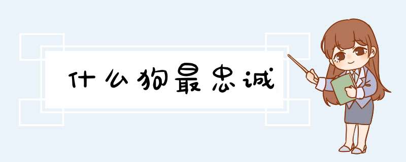 什么狗最忠诚