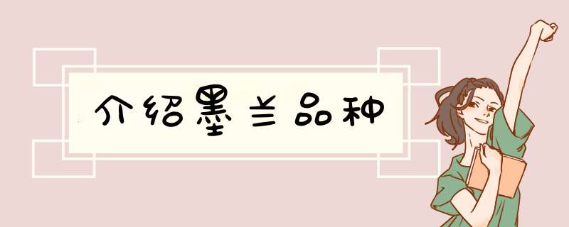 介绍墨兰品种