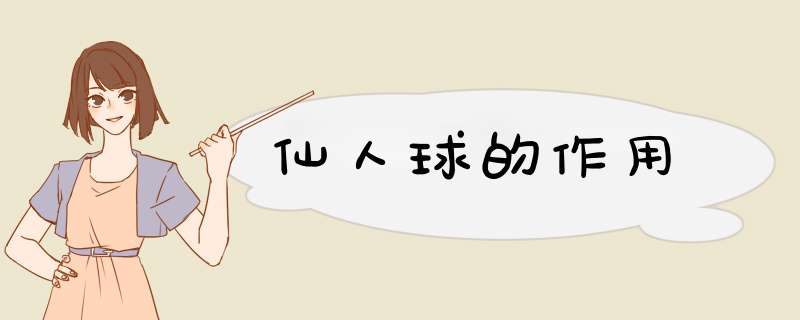 仙人球的作用