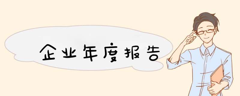 企业年度报告