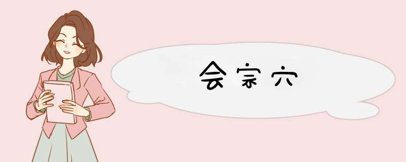 会宗穴