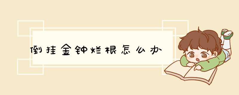 倒挂金钟烂根怎么办