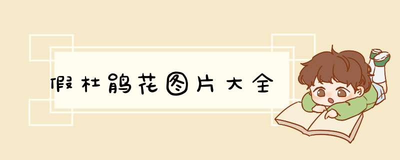 假杜鹃花图片大全