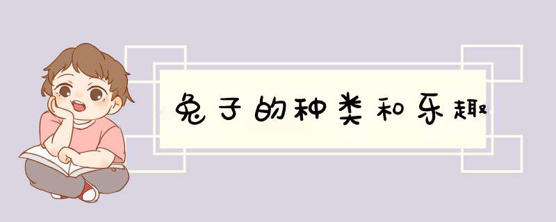 兔子的种类和乐趣
