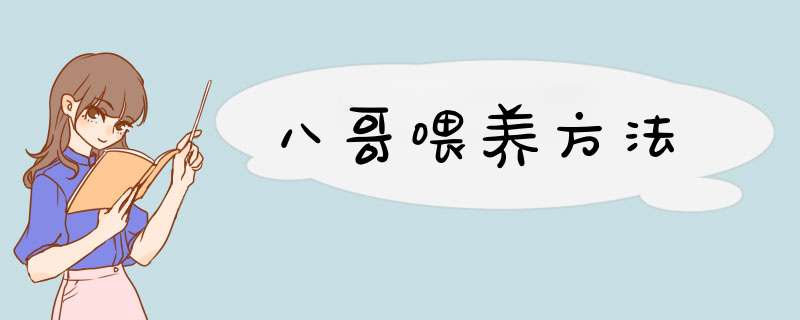 八哥喂养方法