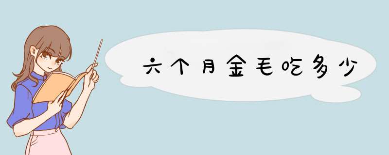 六个月金毛吃多少