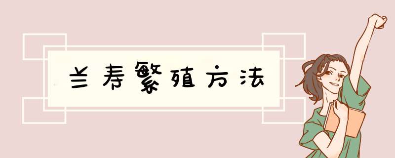 兰寿繁殖方法