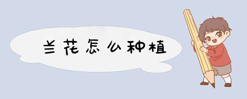 兰花怎么种植