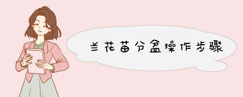 兰花苗分盆操作步骤