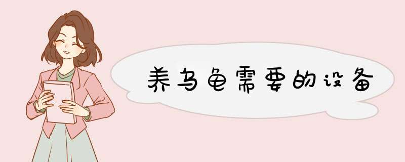 养乌龟需要的设备