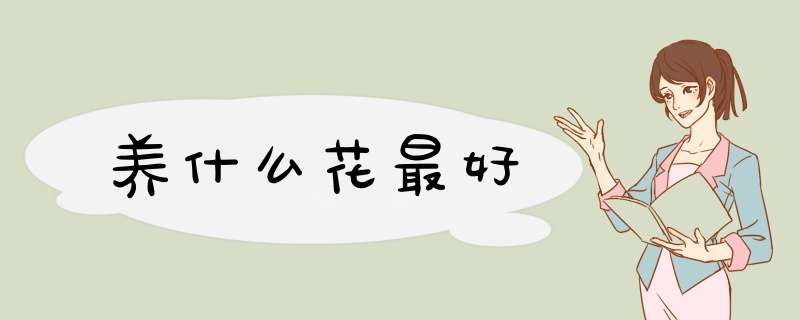 养什么花最好