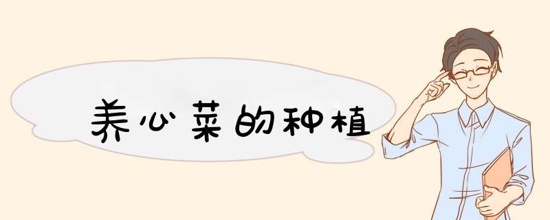 养心菜的种植