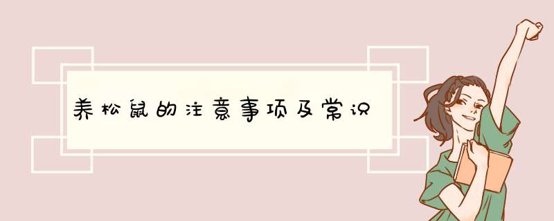 养松鼠的注意事项及常识