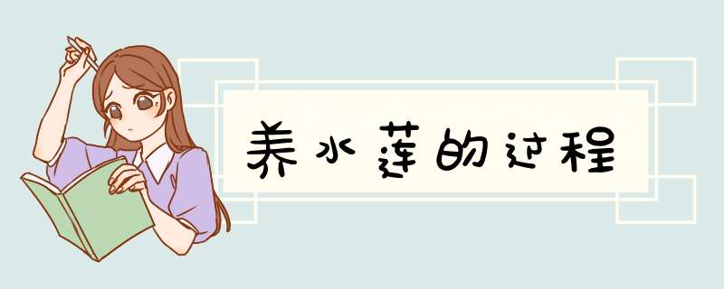 养水莲的过程