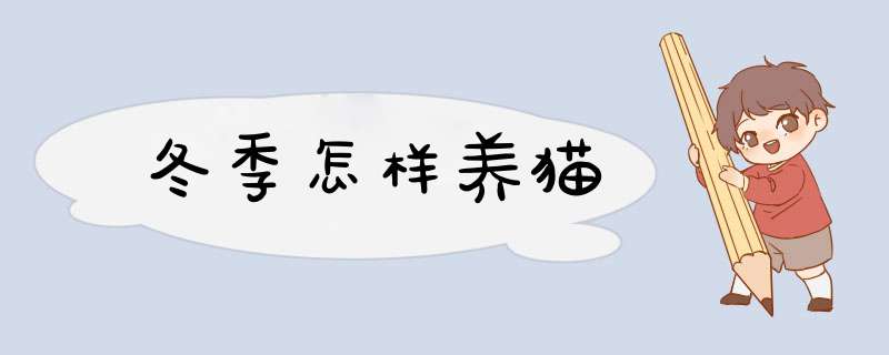 冬季怎样养猫