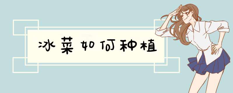 冰菜如何种植