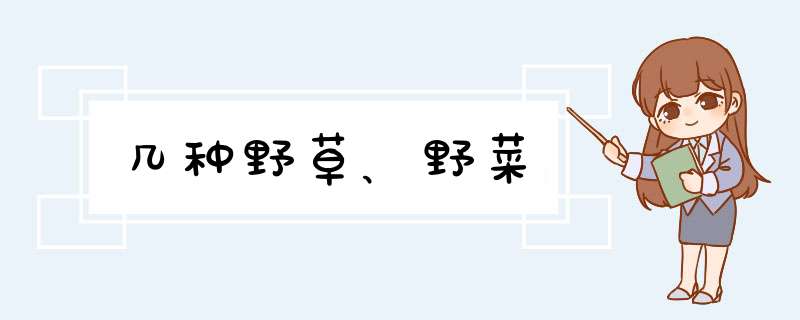 几种野草、野菜