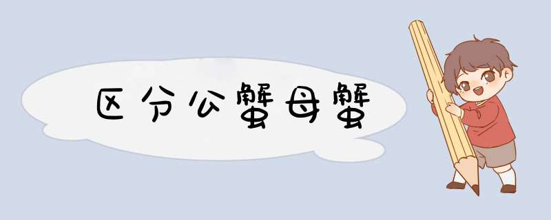 区分公蟹母蟹