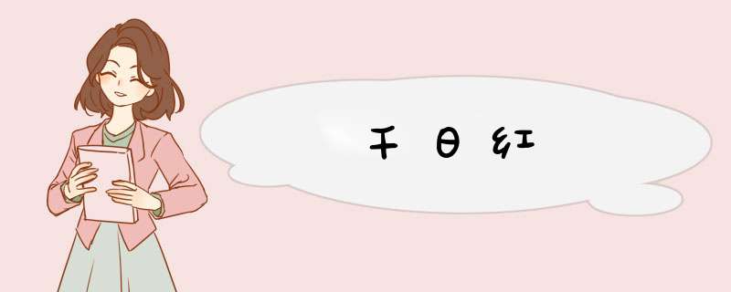 千日红