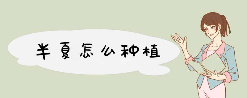 半夏怎么种植