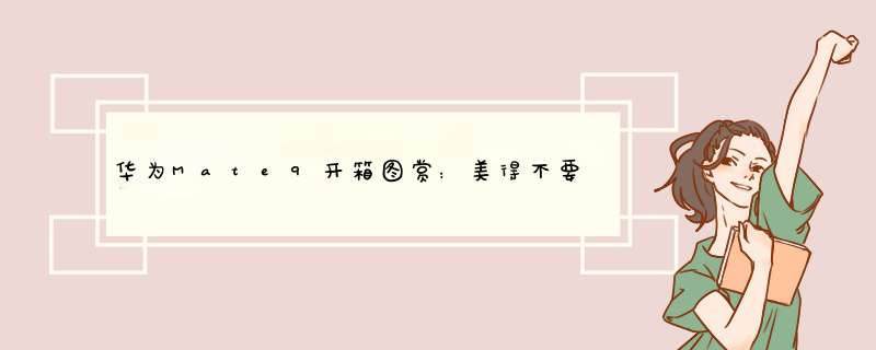 华为Mate9开箱图赏：美得不要不要！双摄好看