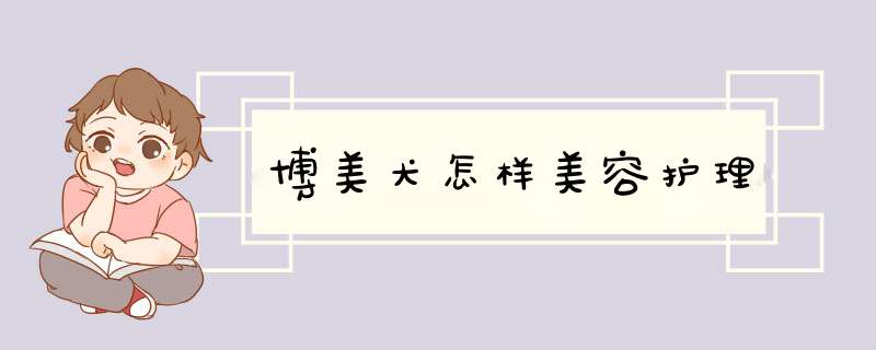 博美犬怎样美容护理