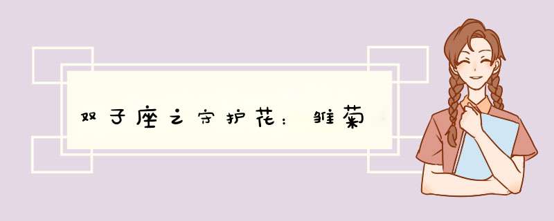双子座之守护花：雏菊
