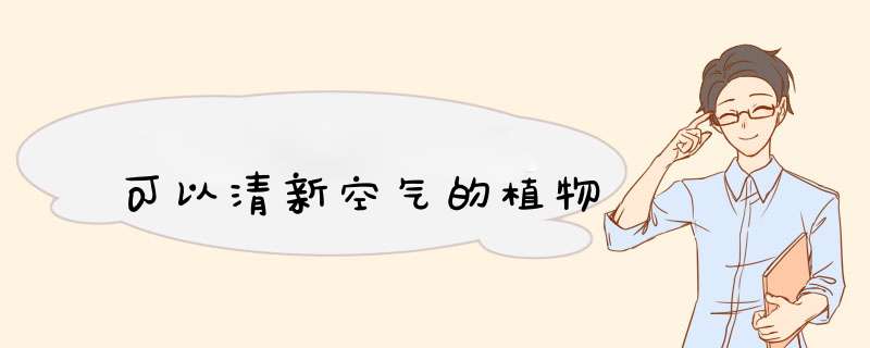 可以清新空气的植物