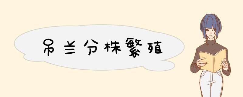 吊兰分株繁殖